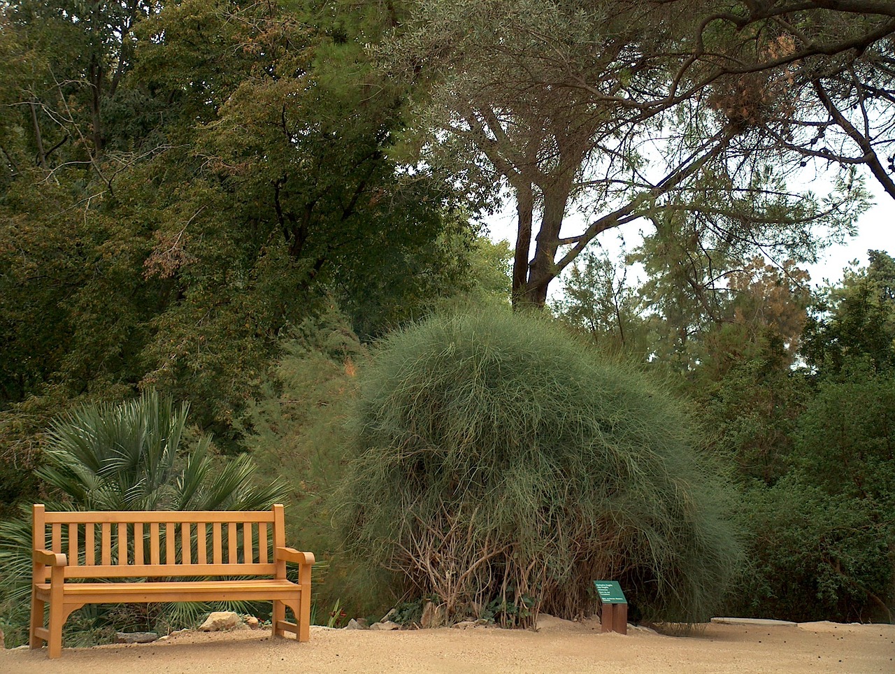 montjuic barcelone bench free photo