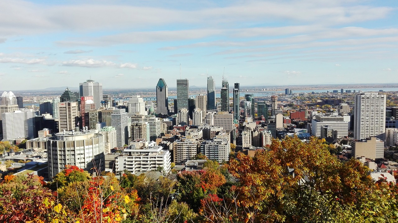 montréal mount royal free photo