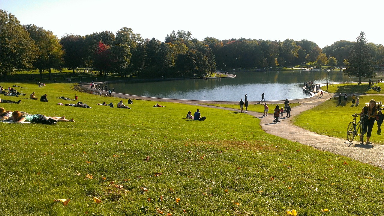 montreal lake mont-royal free photo