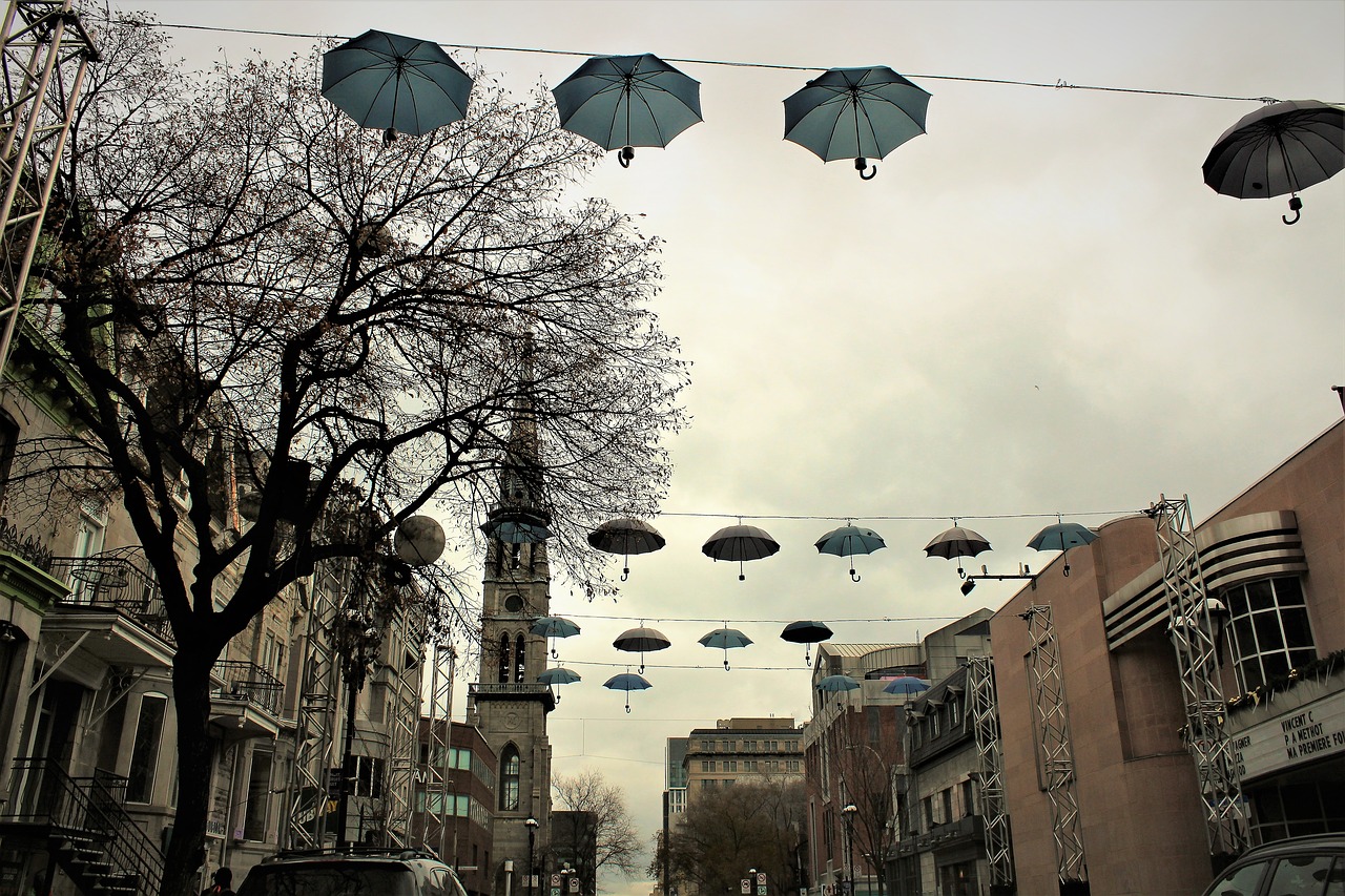 montreal  city  urban free photo