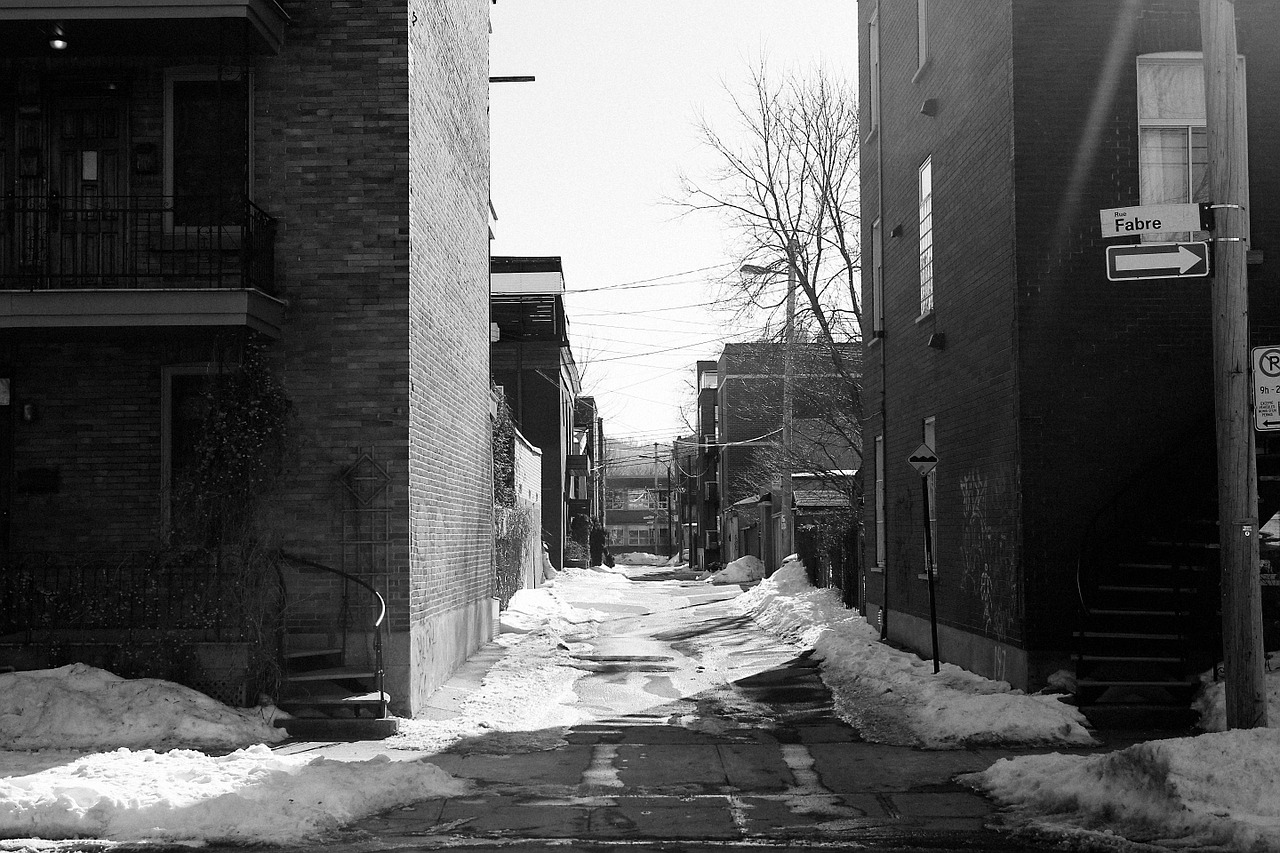 montreal houses city free photo