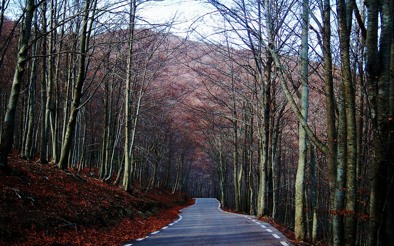 montseny barcelona road free photo