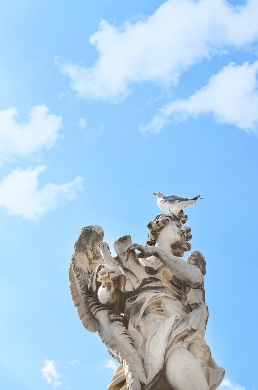 monument rome seagulls free photo