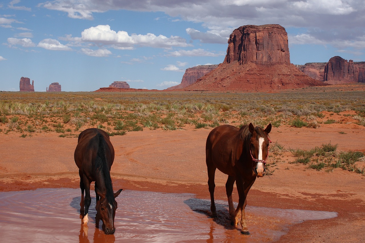 monument valley national park arizona free photo