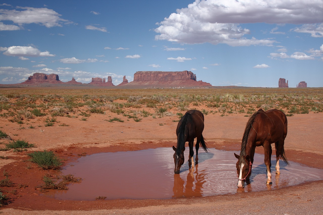 usa arizona monument valley free photo