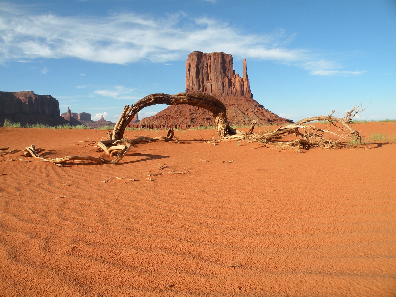 monument valley desert trunk free photo