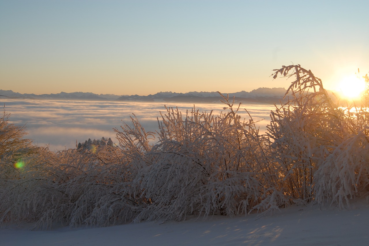 mood winter sun free photo