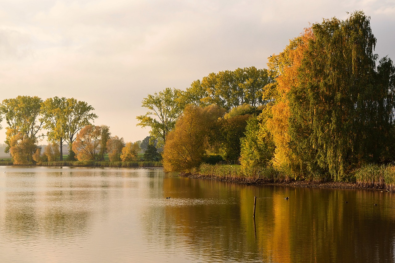 mood autumn pond free photo