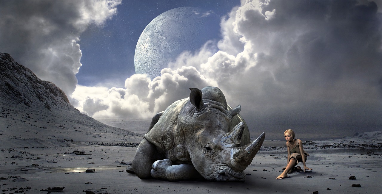 mood landscape rhino free photo