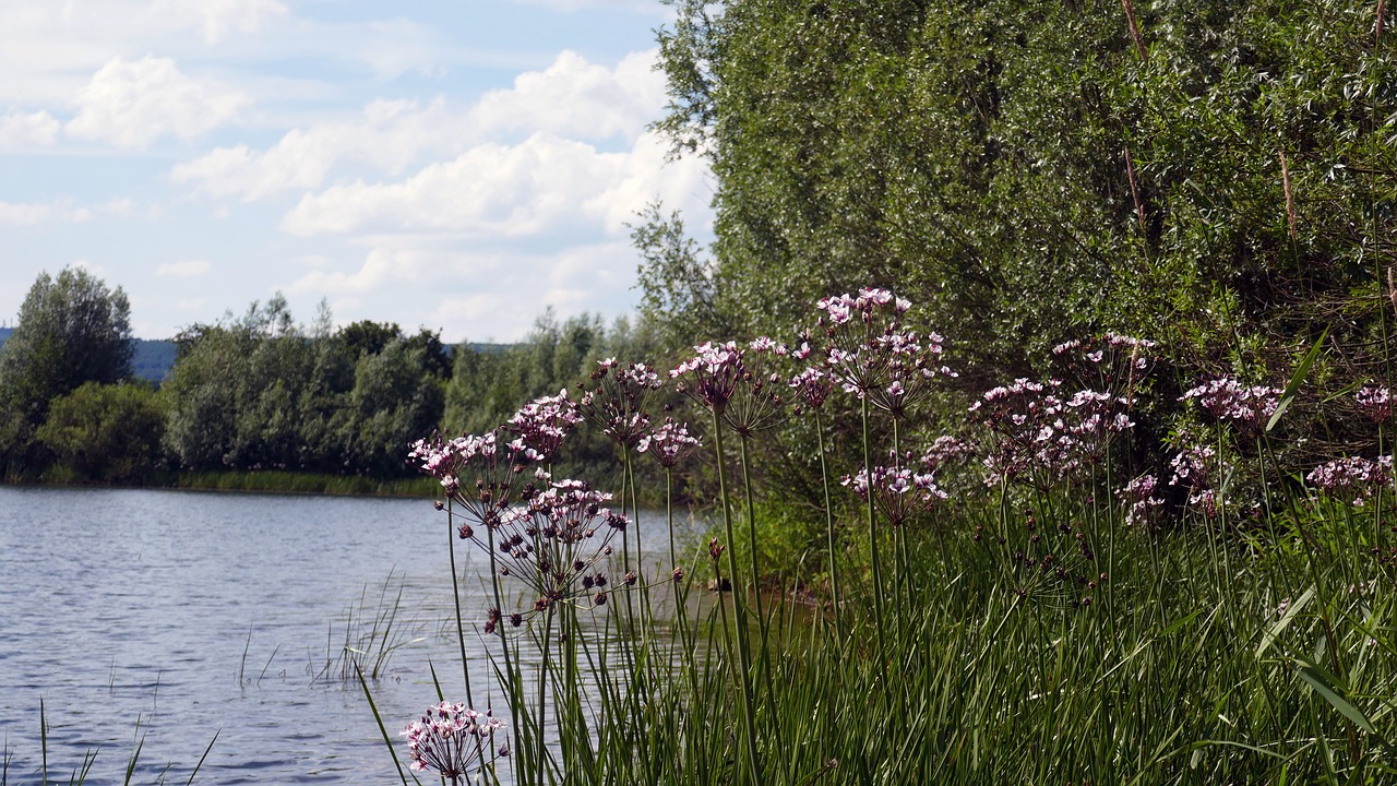 mood water lake free photo