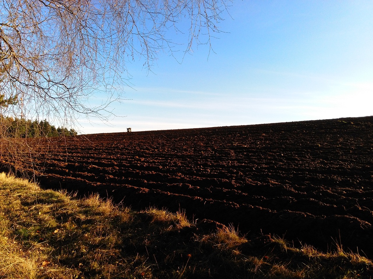 mood evening light field free photo