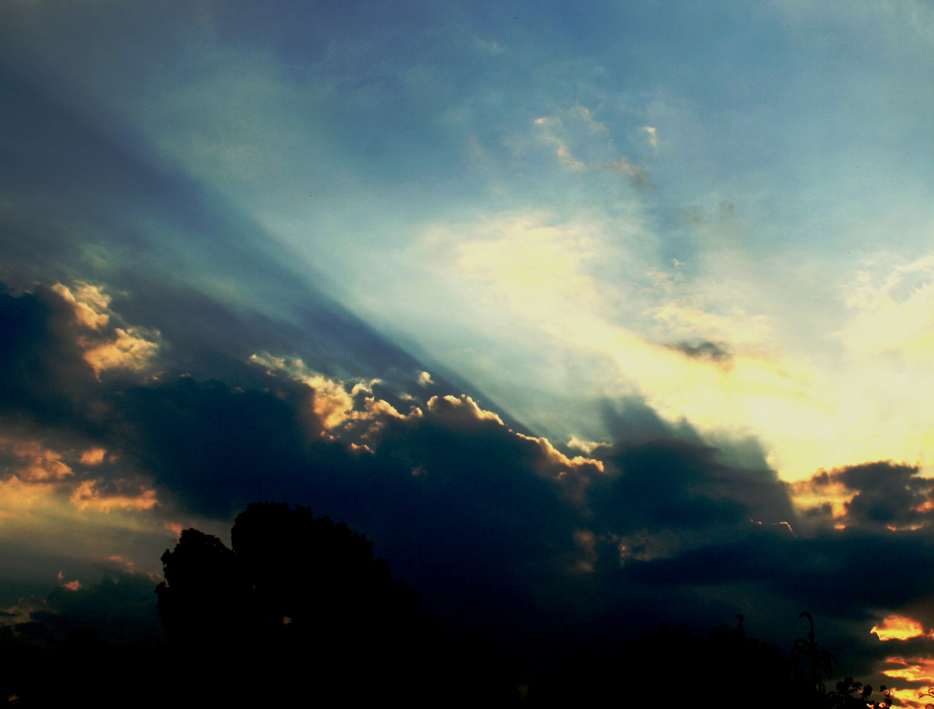 diagonal cloud trees free photo