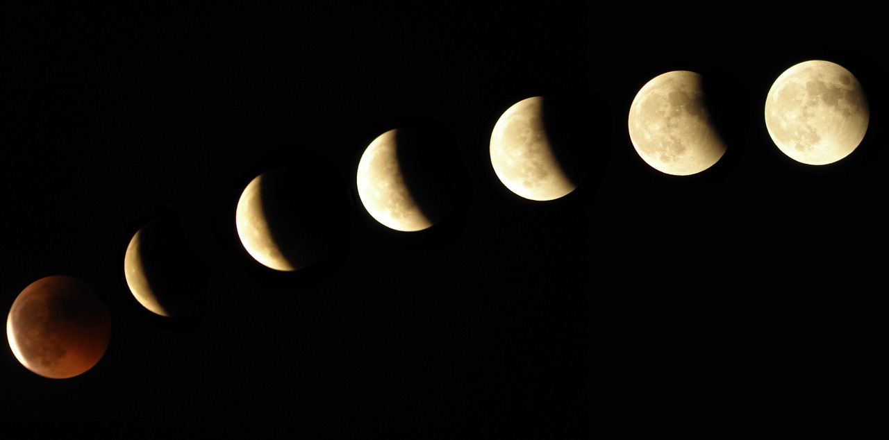 moon eclipse phases free photo