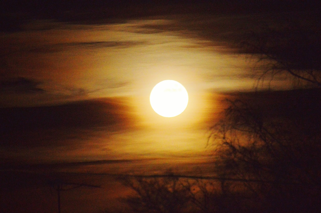 moon moonlight atmosphere free photo