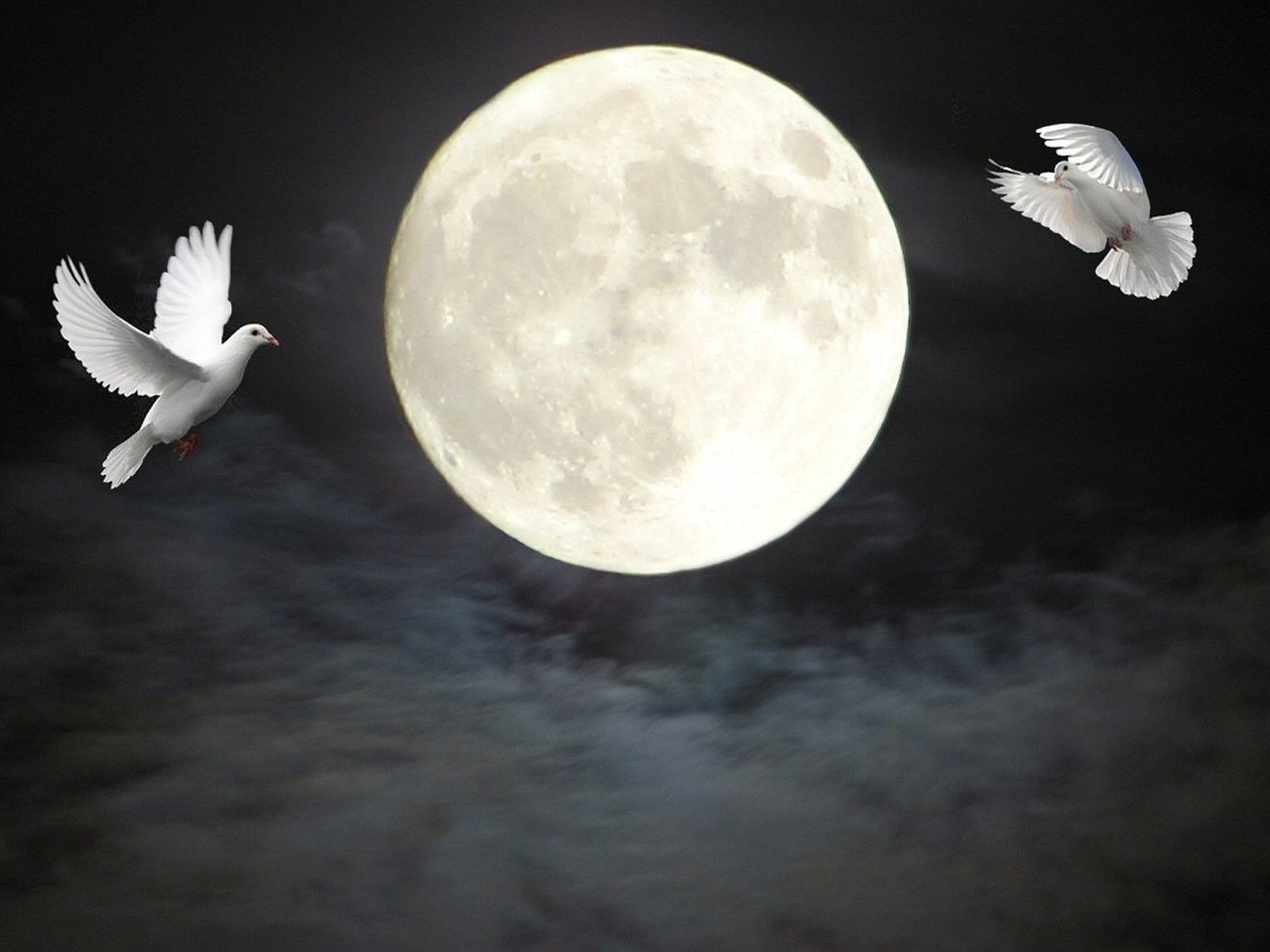 moon doves clouds free photo
