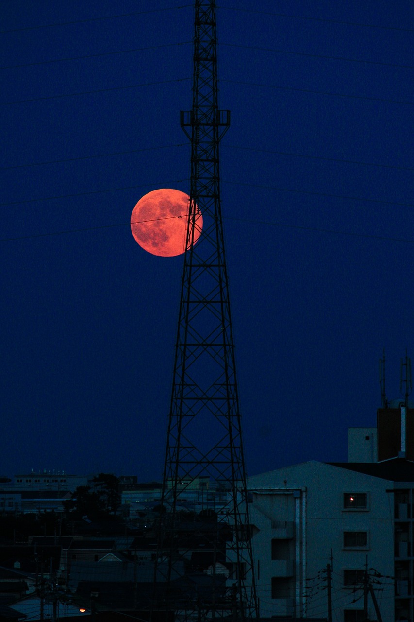 moon full moon night free photo