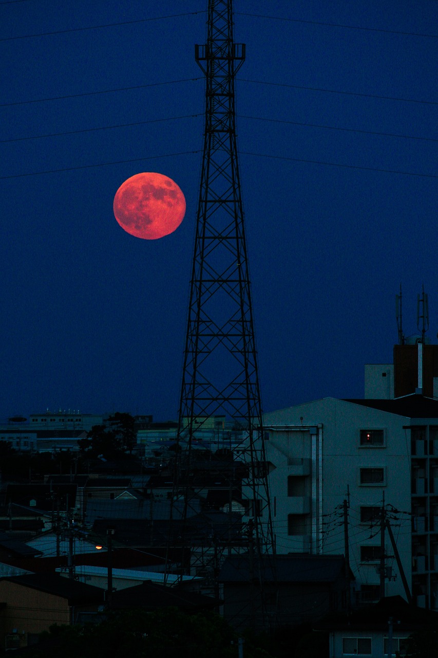 moon full moon night free photo