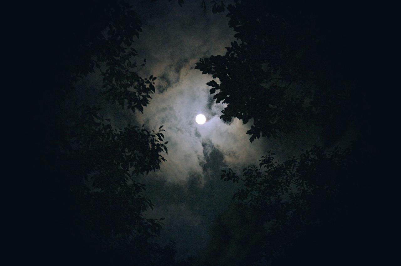 moon cloud night view free photo