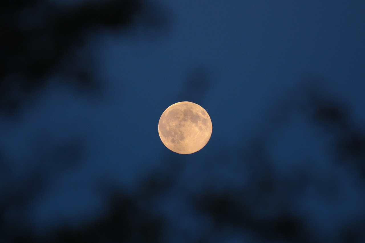 moon the fullness of night free photo