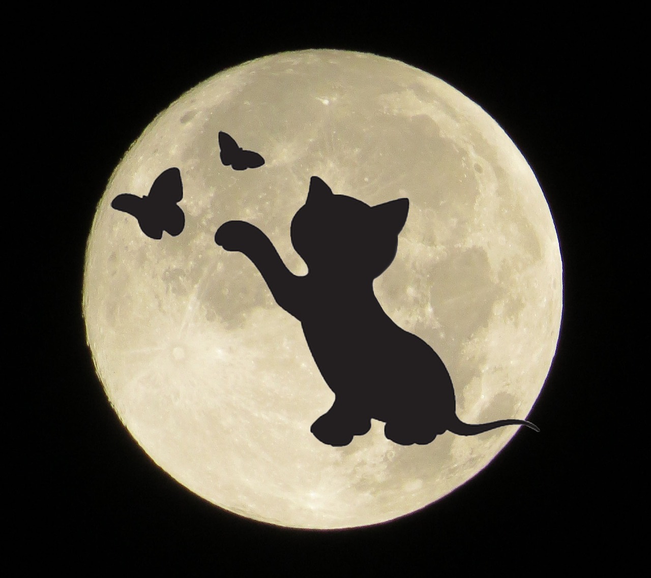 moon cat silhouette free photo