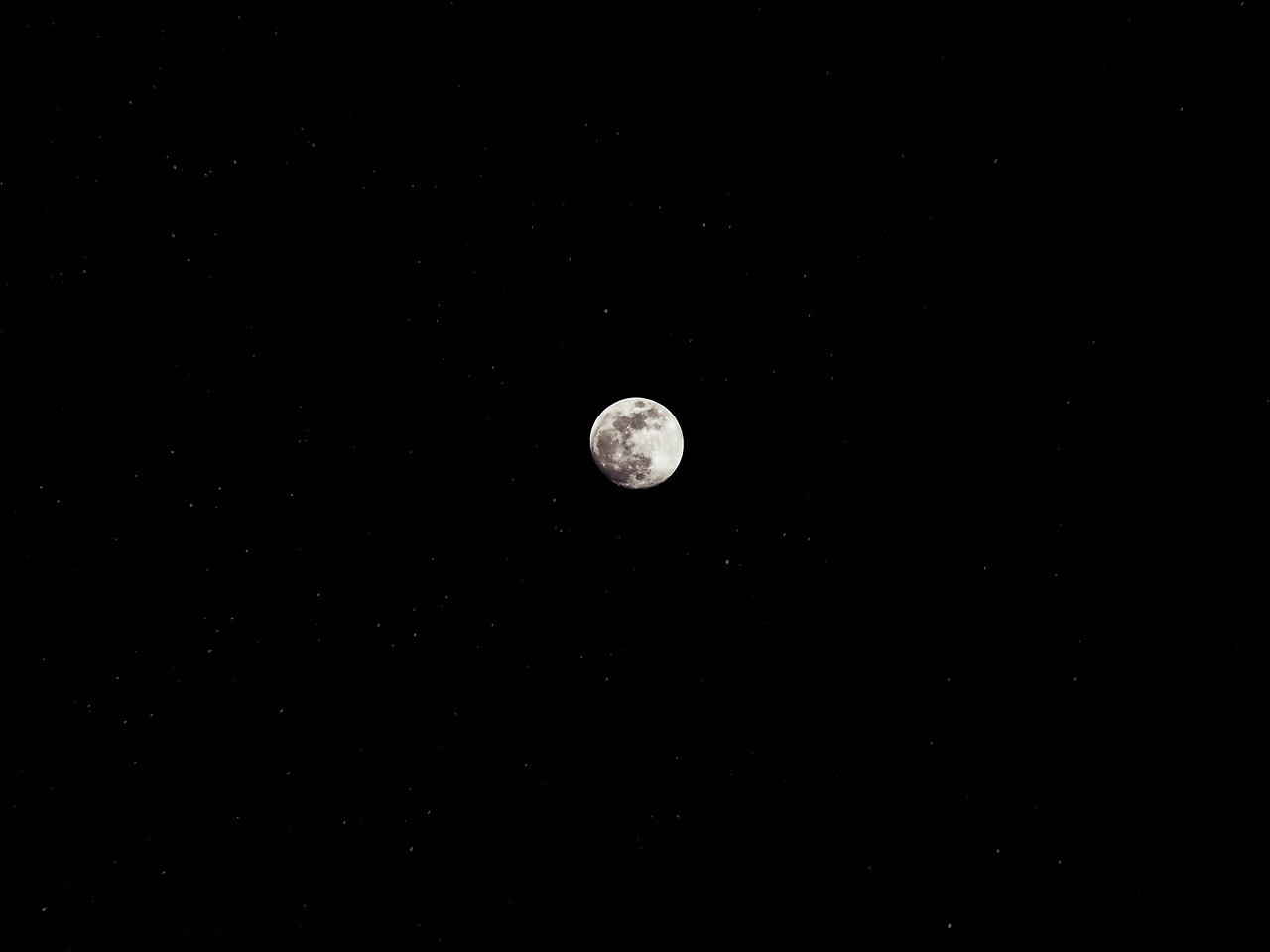 moon star night free photo