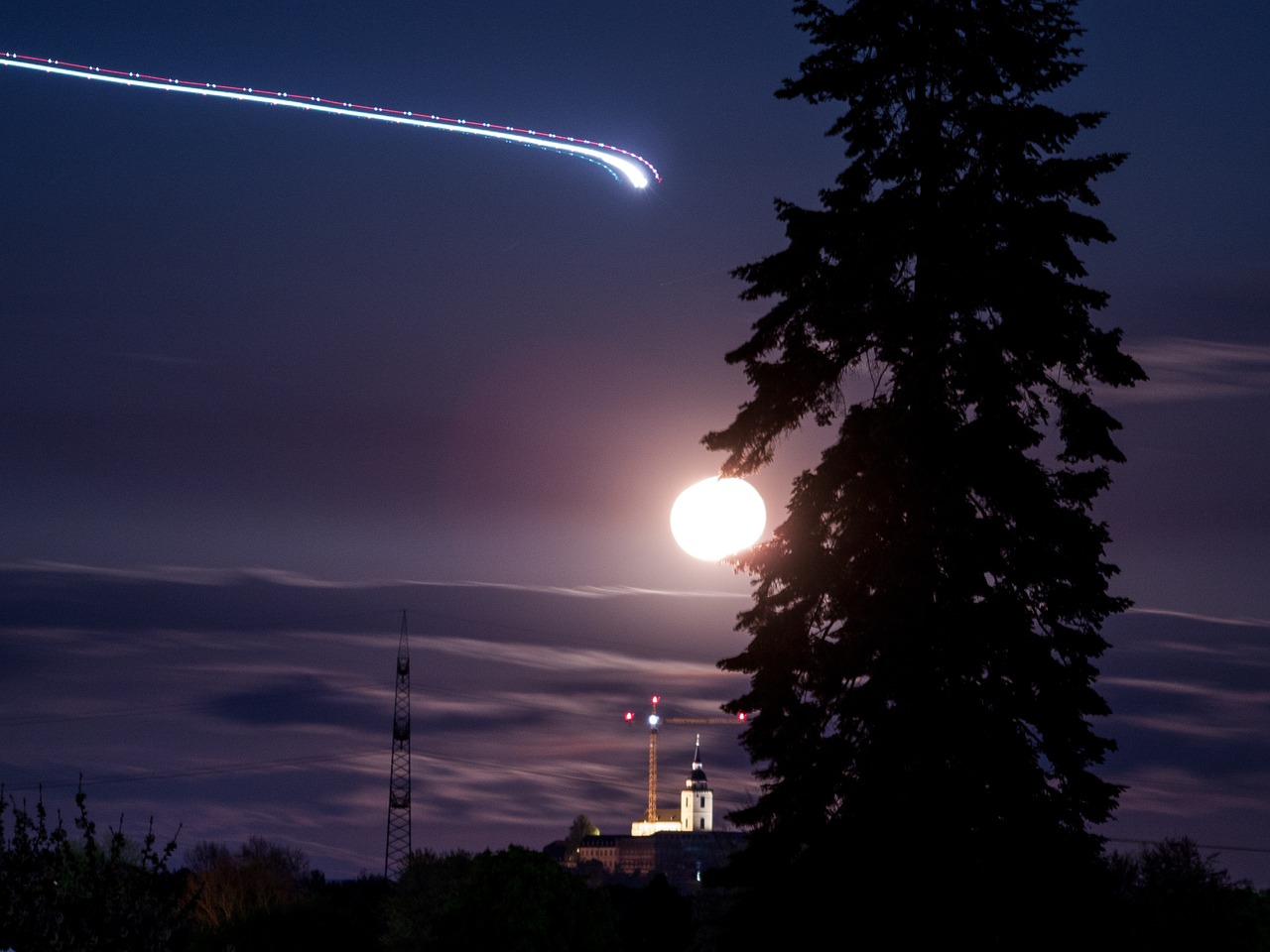 moon night tree free photo