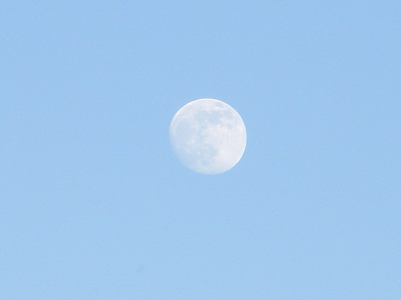 moon sky blue free photo