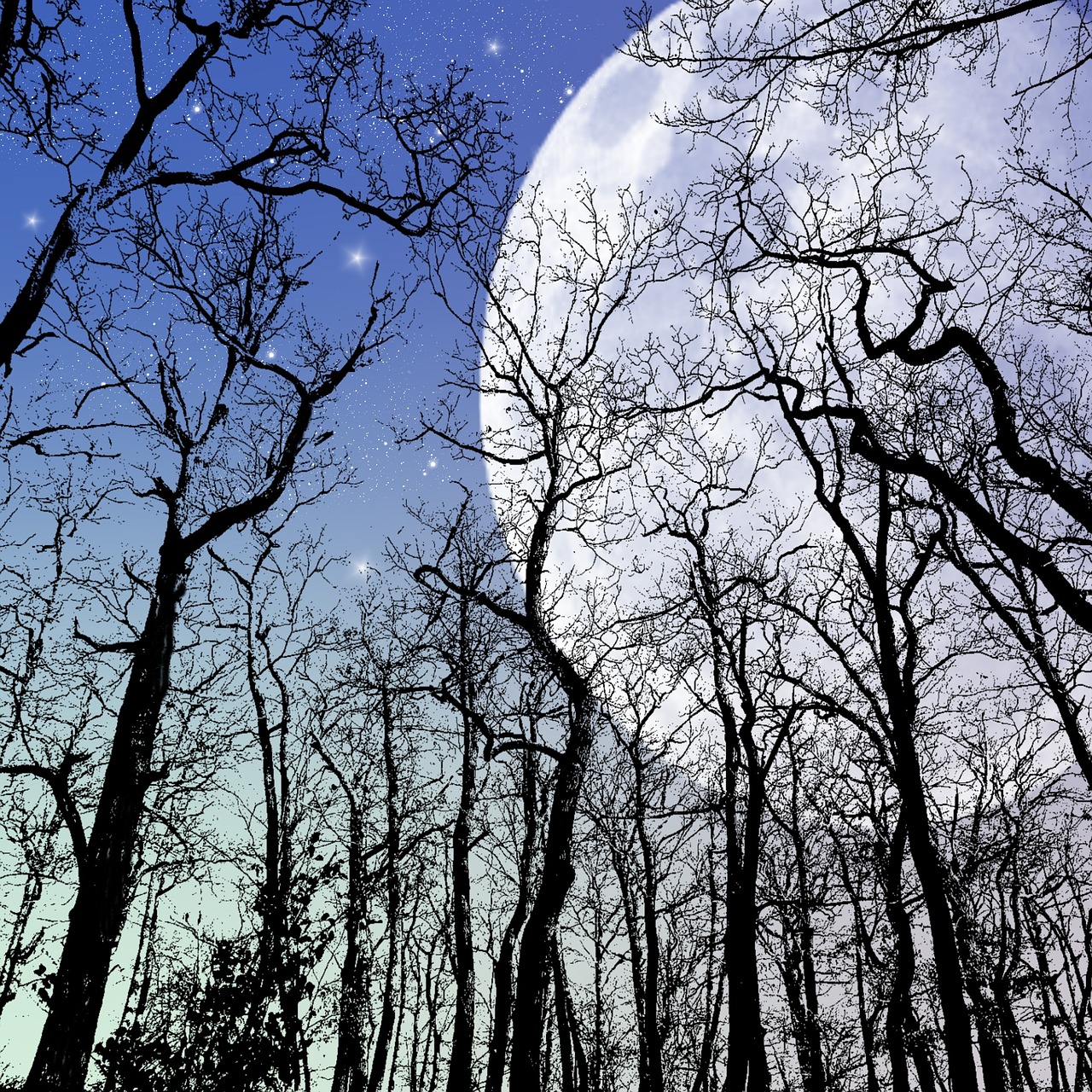 moon sky trees free photo