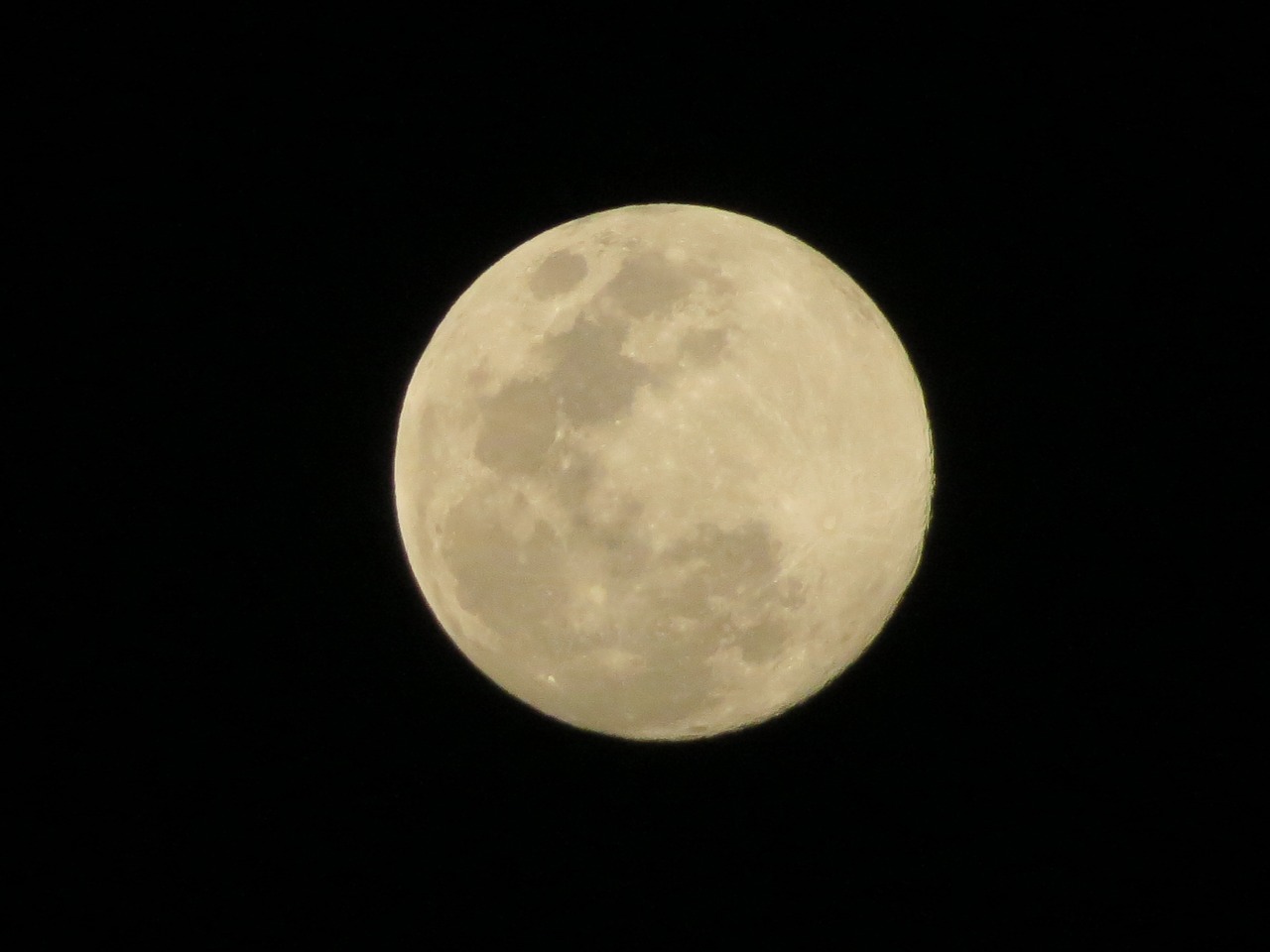 moon night full moon free photo