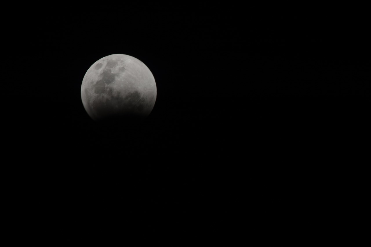 moon eclipse night free photo