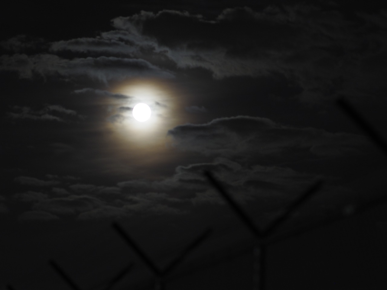 moon night glow free photo
