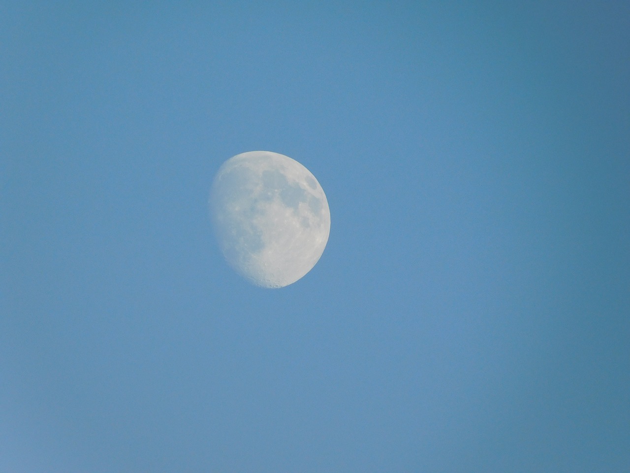 moon bright sky before the night free photo