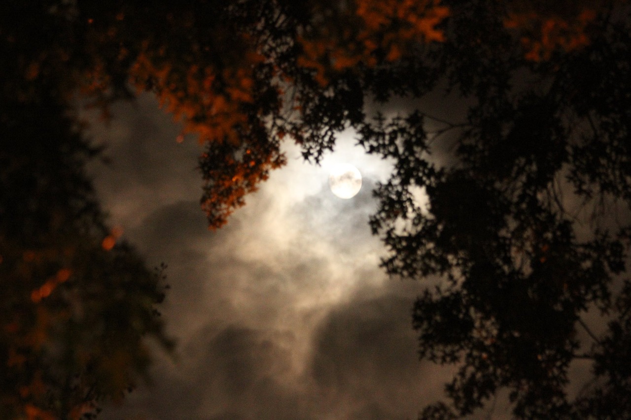 moon fall autumn free photo
