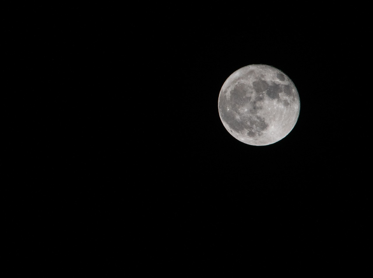 moon night full moon free photo