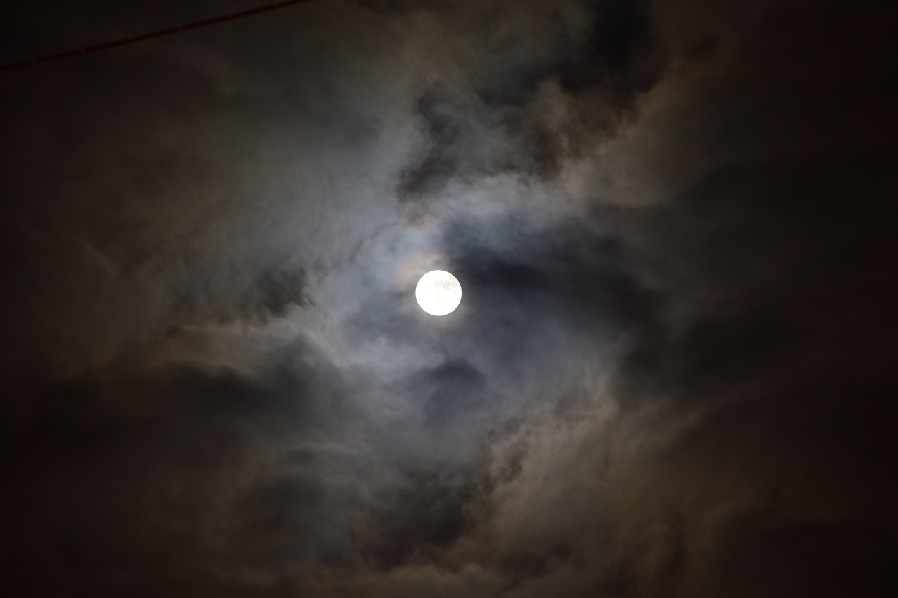 moon full moon midnight free photo
