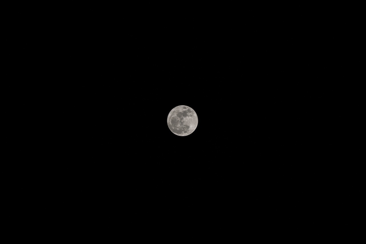 moon black night free photo