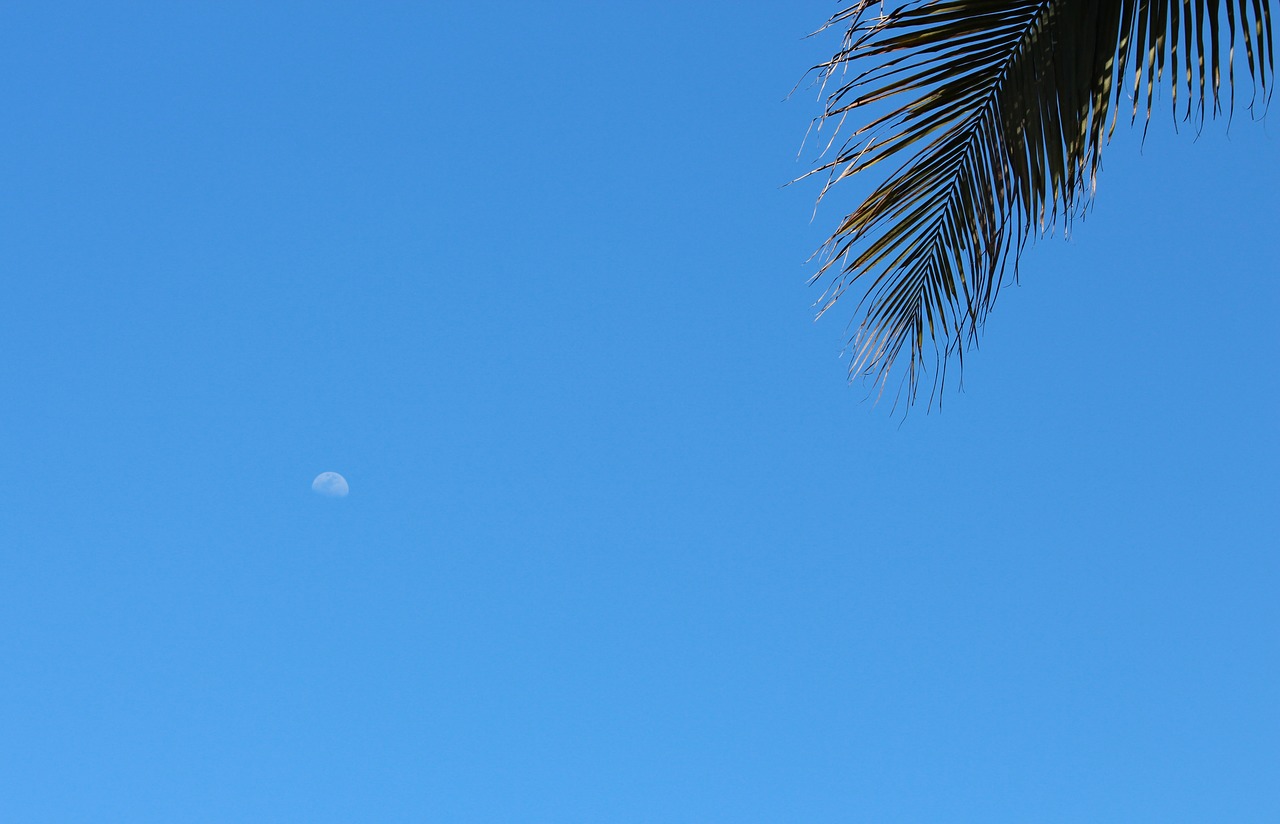 moon day blue sky free photo