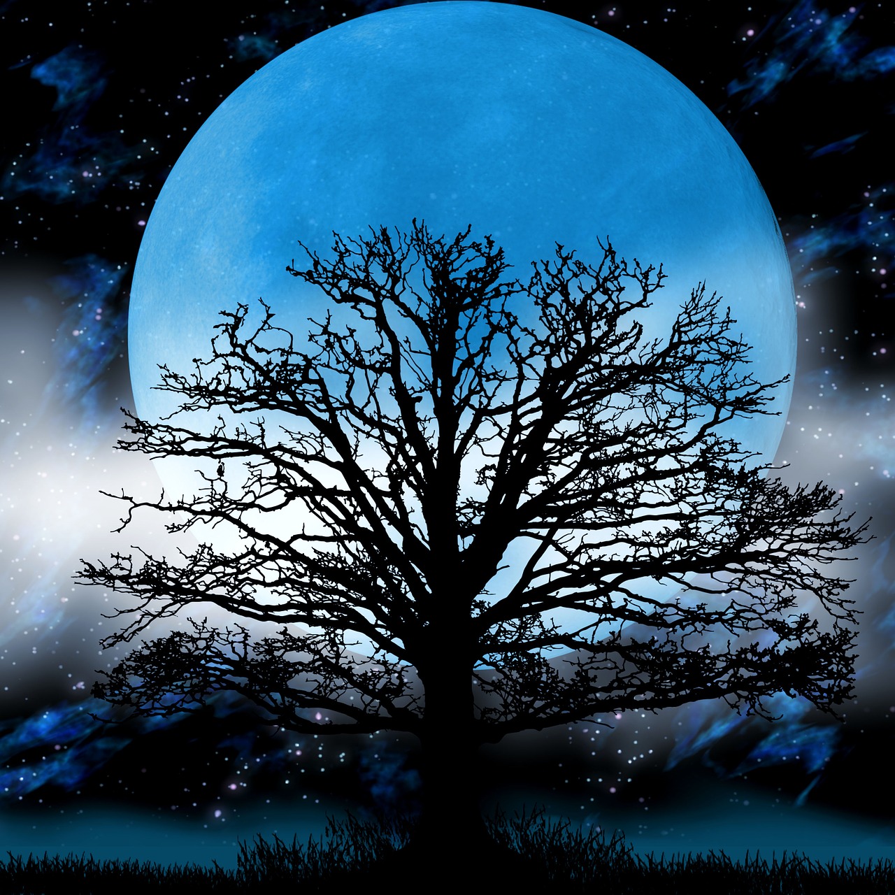 moon tree fog free photo