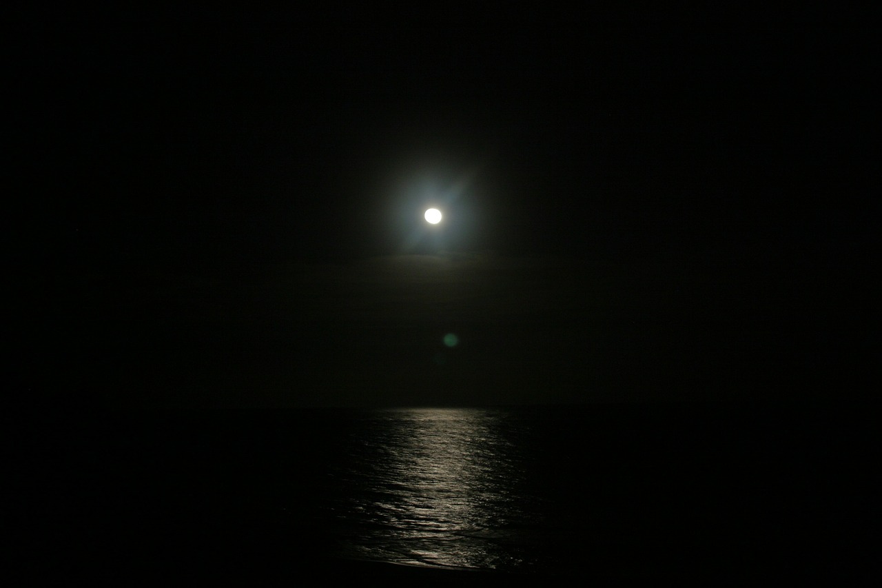 moon night moon night free photo