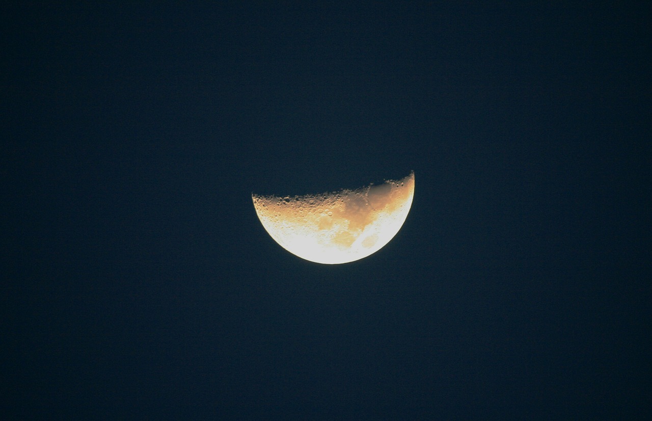 moon half orbital free photo