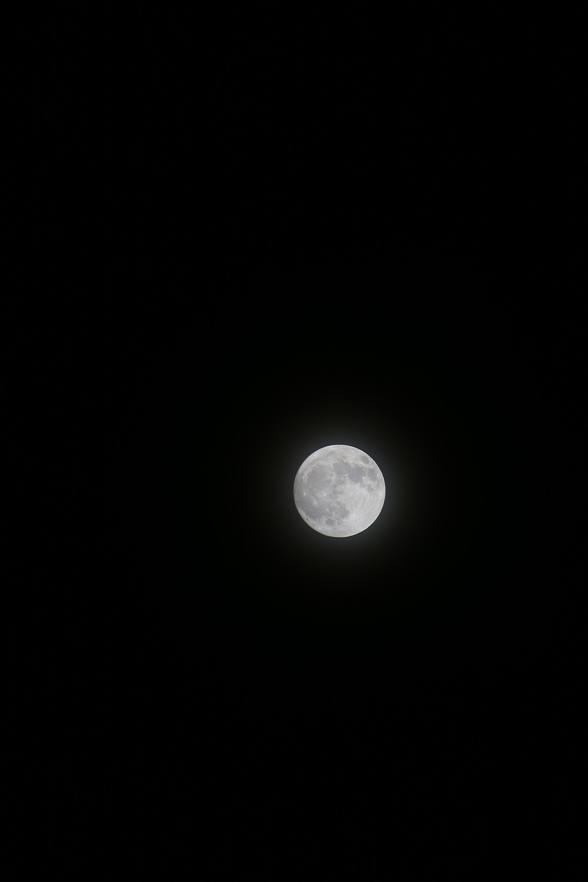 moon dark moonlight free photo