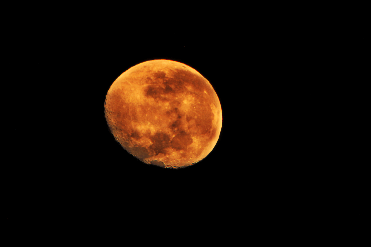 moon night orange free photo