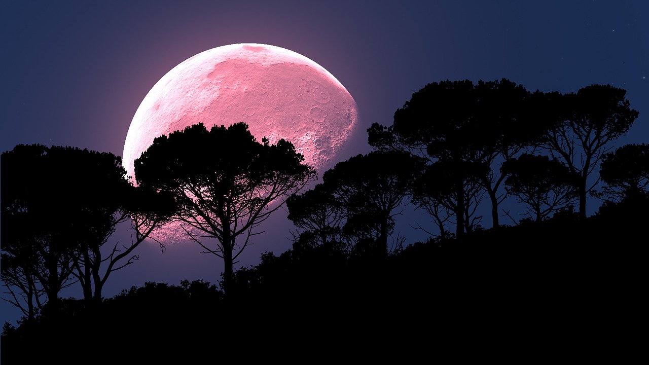 moon pink trees free photo