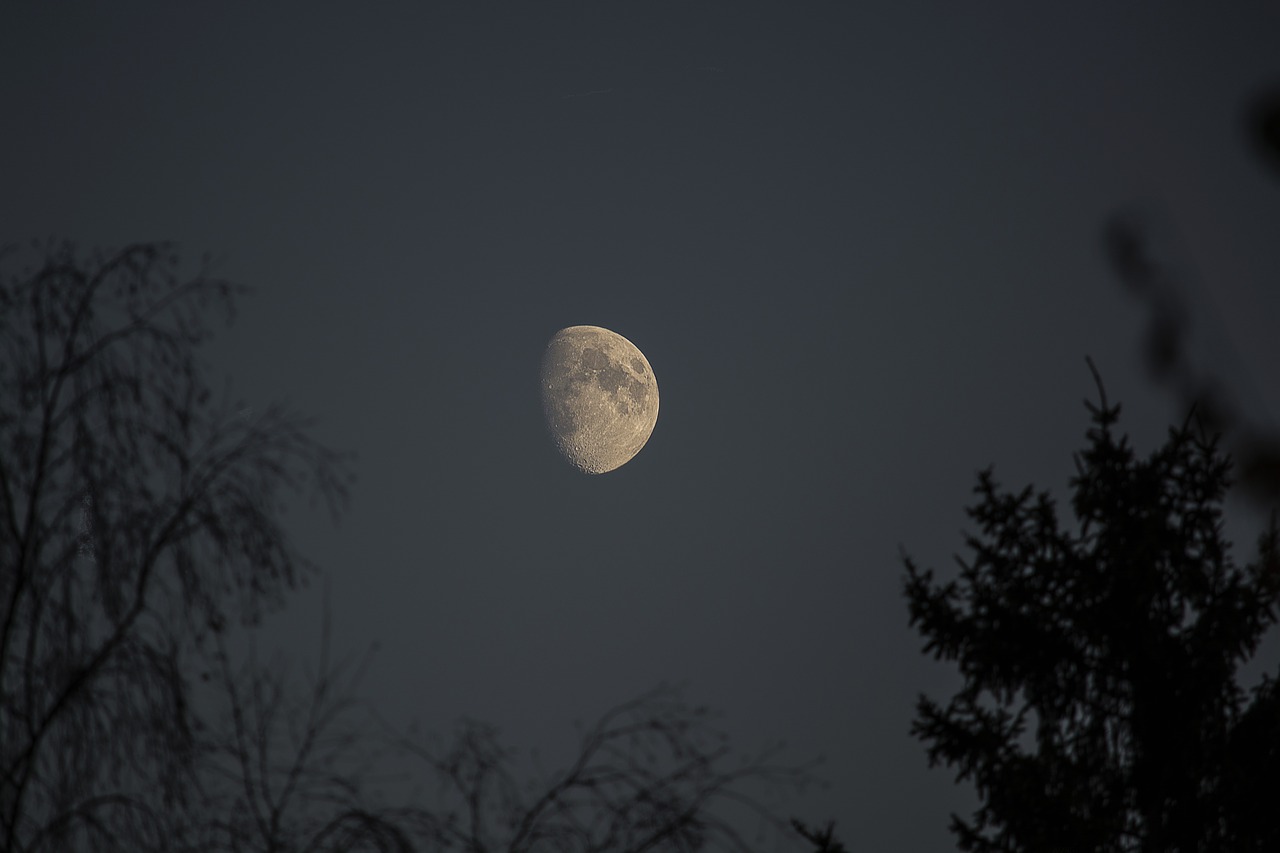 moon night nikon free photo