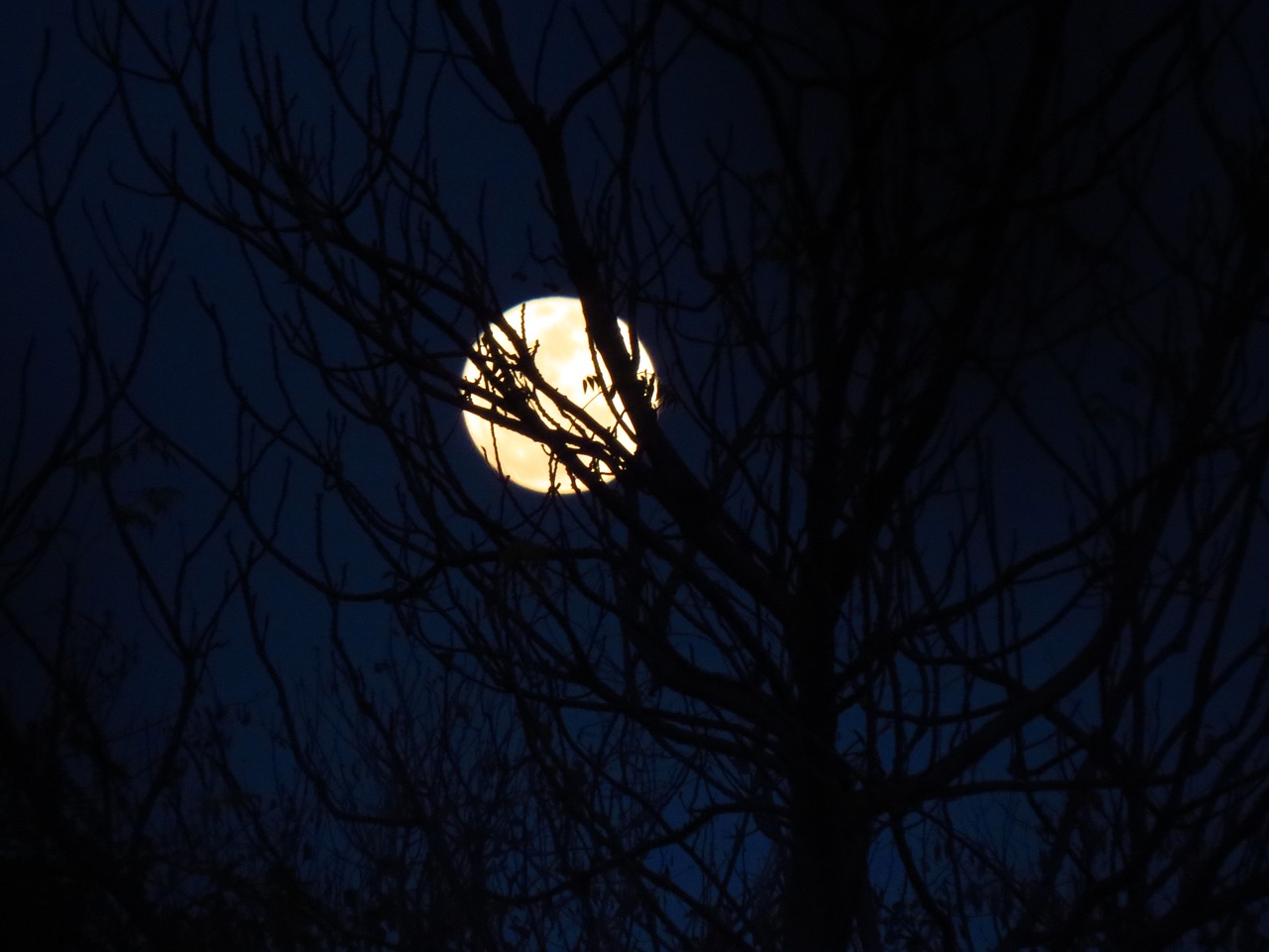 moon moonlit blue sky free photo