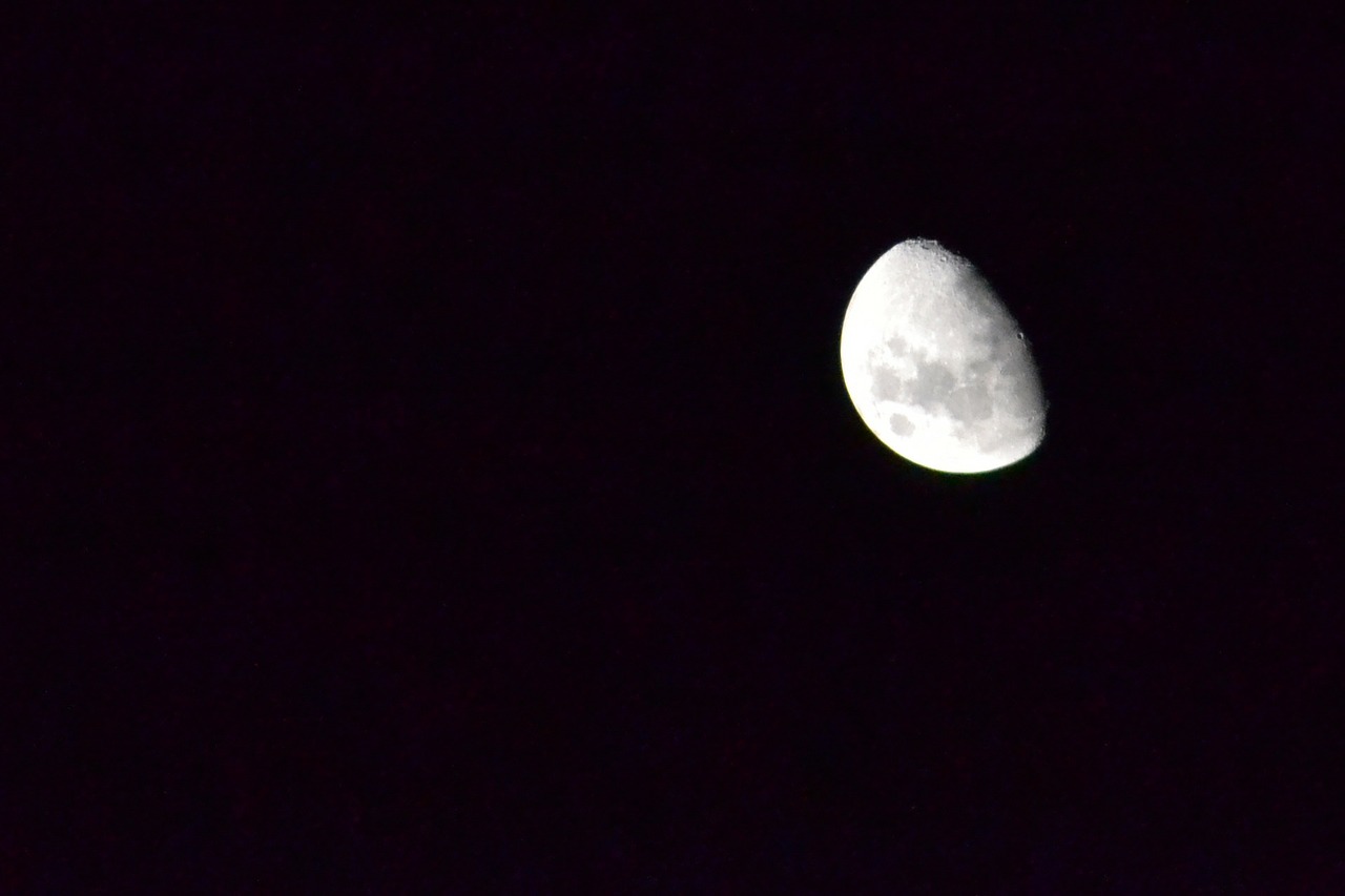 moon midnight night free photo
