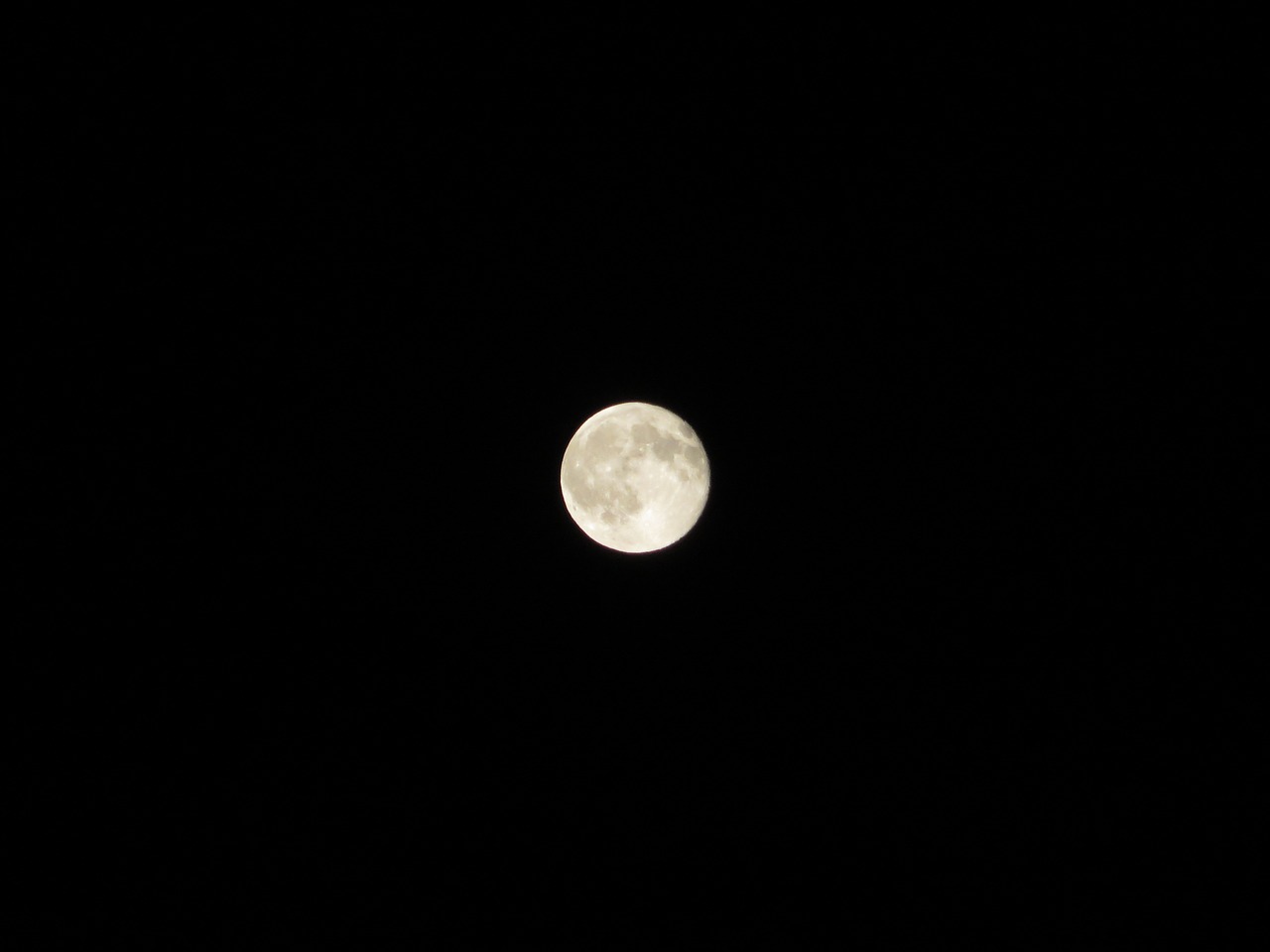 moon night full moon free photo