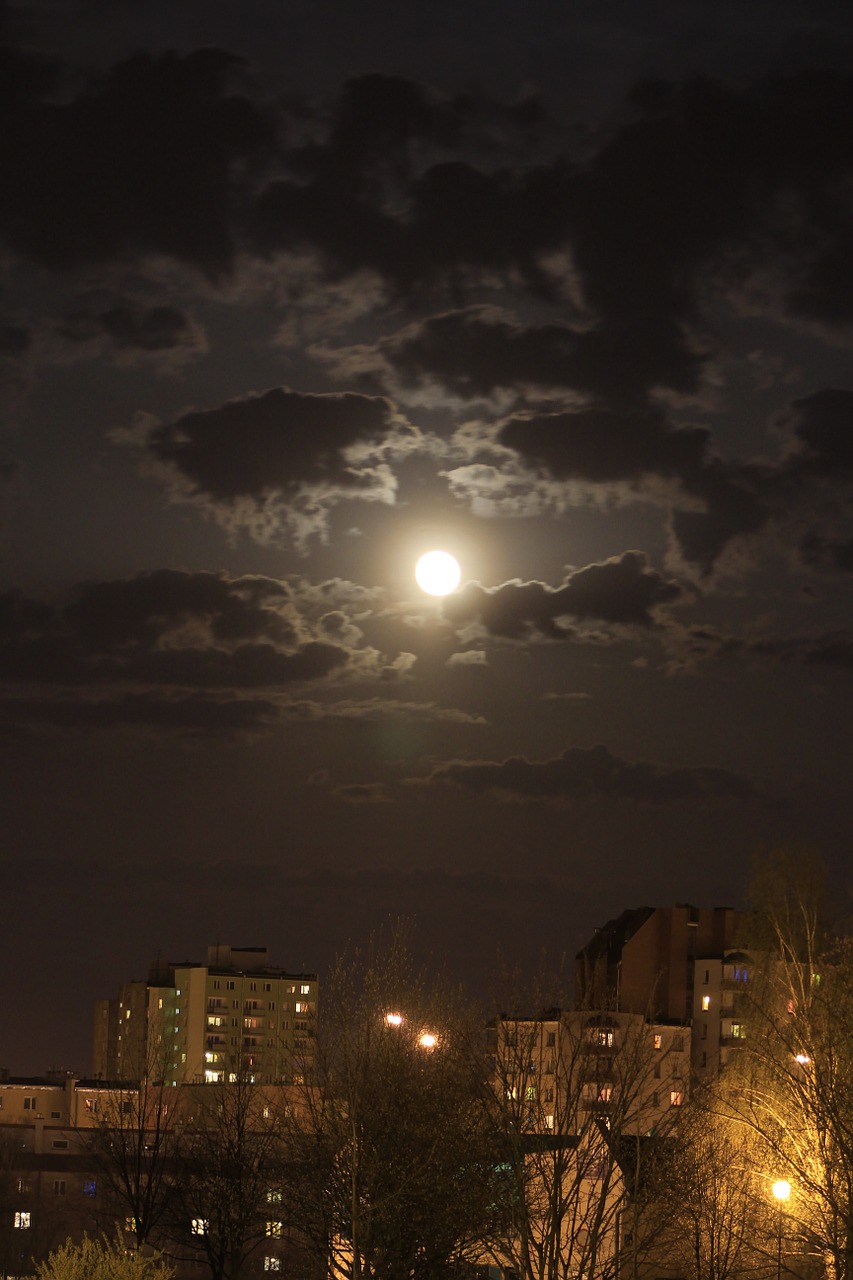 moon the fullness of night free photo