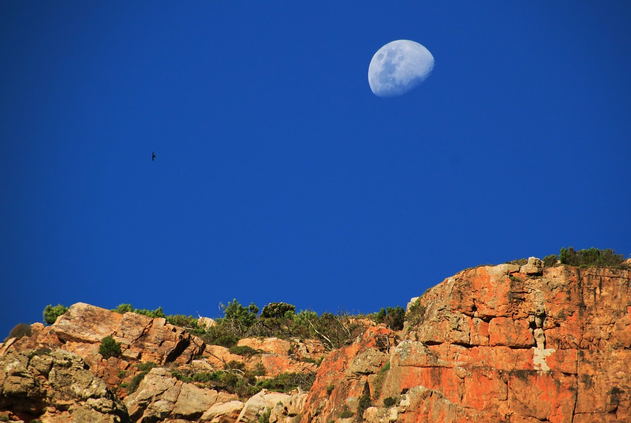 moon half moon sky free photo