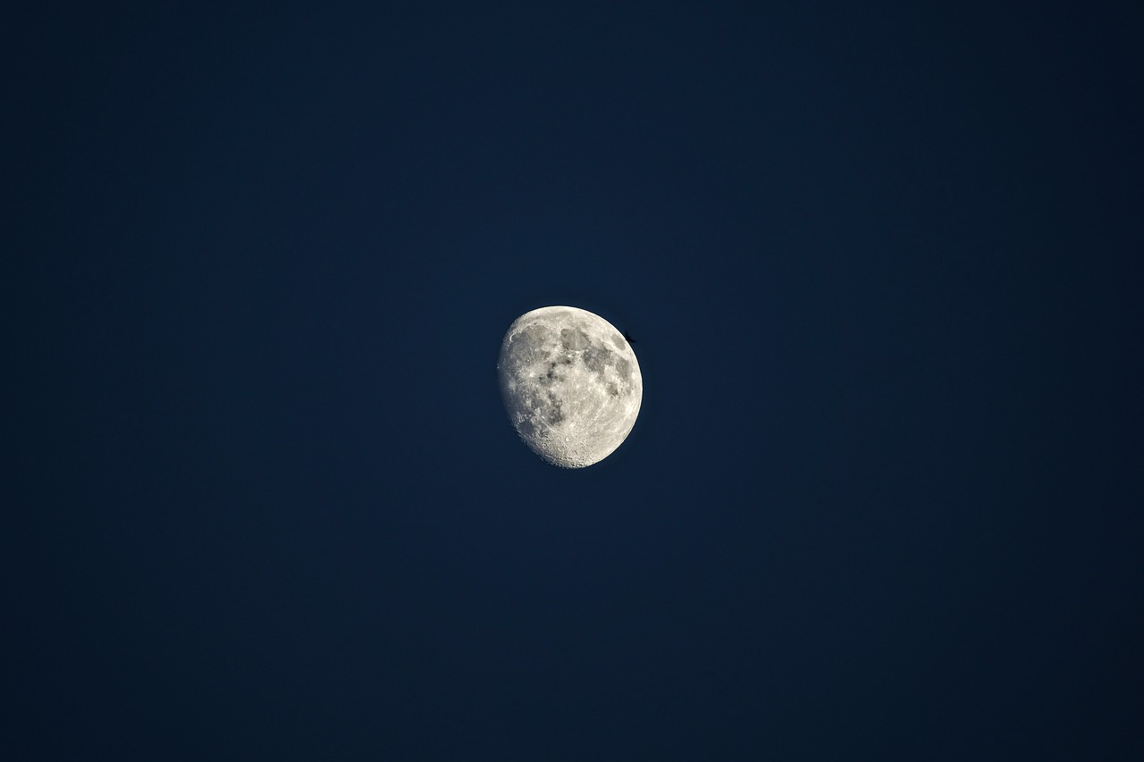moon dark night free photo